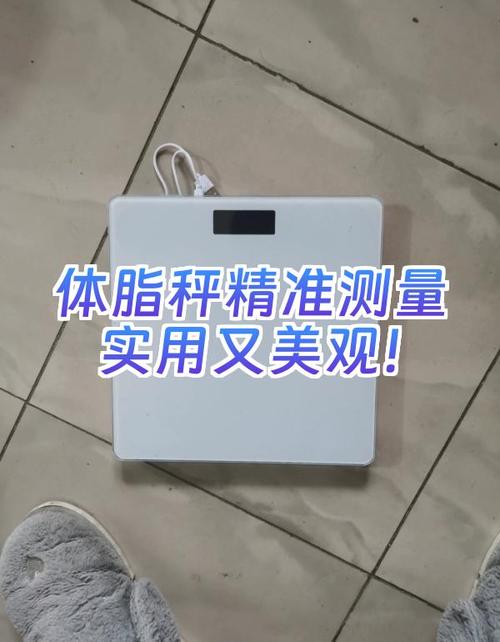 体脂秤精准测量 从数据到健康的智能桥梁